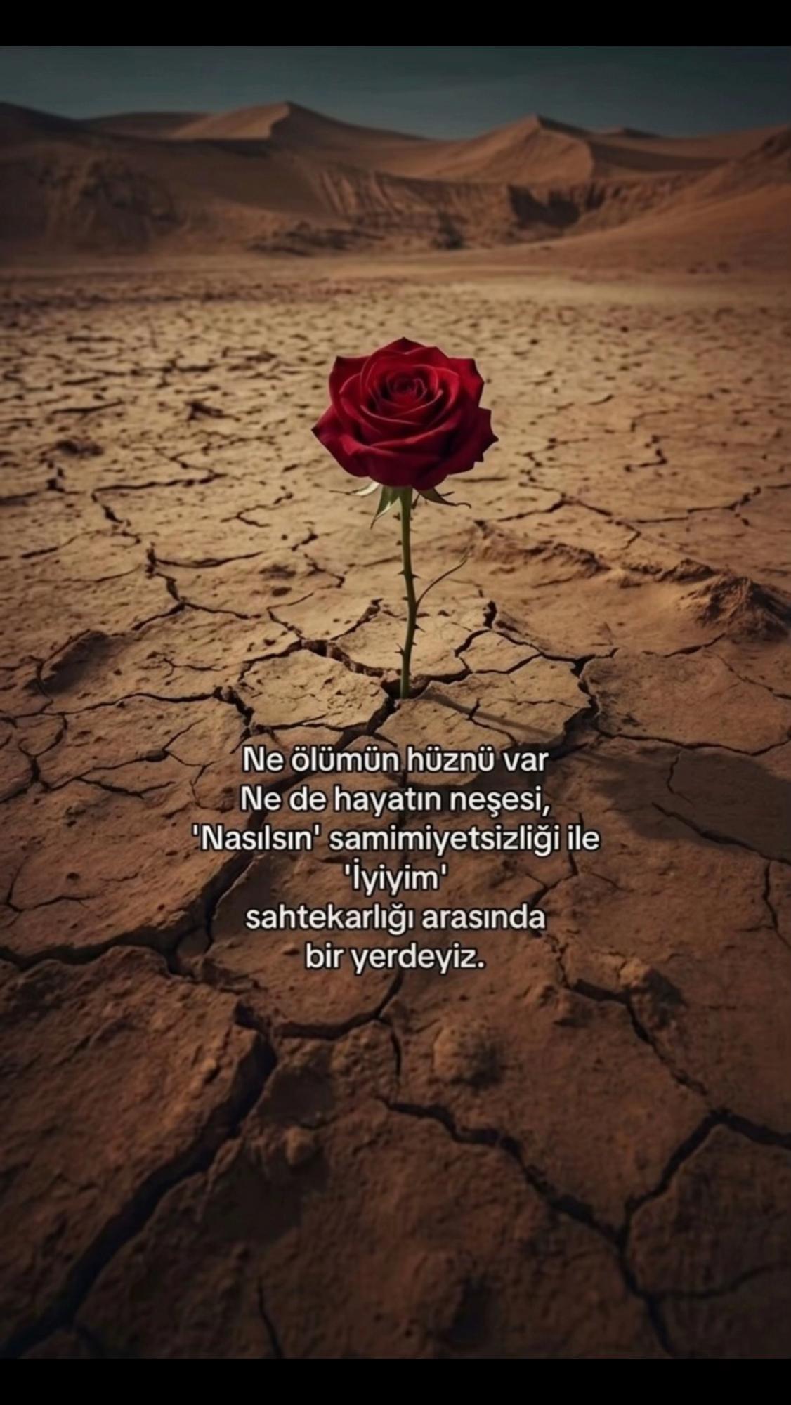 @Ꮆᗴᑕᗴᗰ ✰