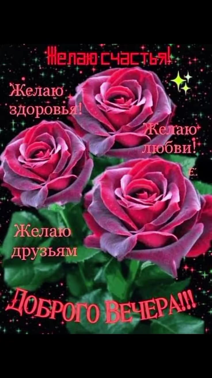 @Евдокия