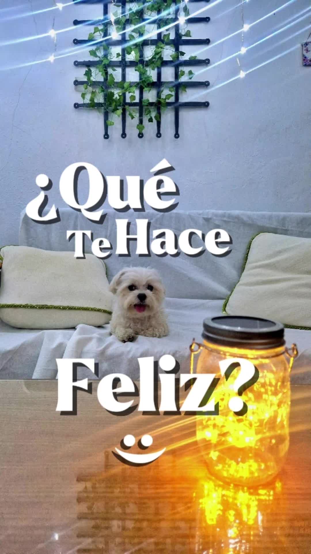 @Bea Z.R