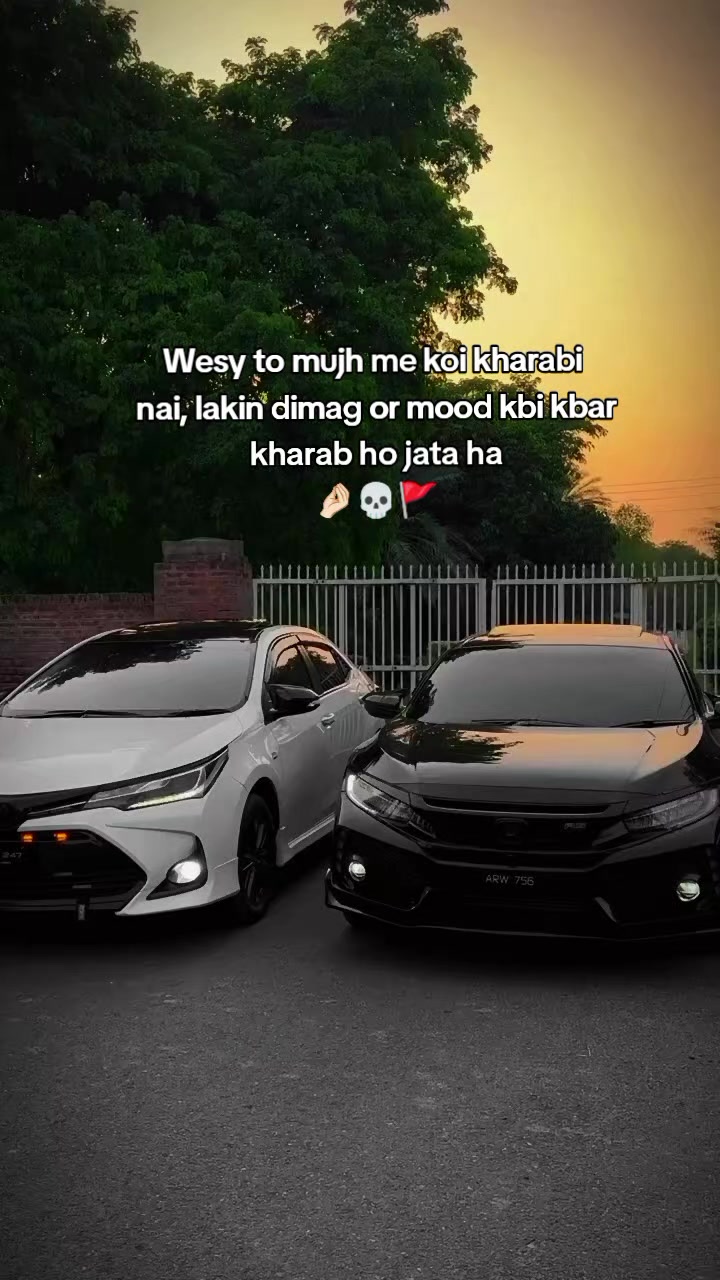 @𝑴𝒂ل𝒊𝒌 🚩