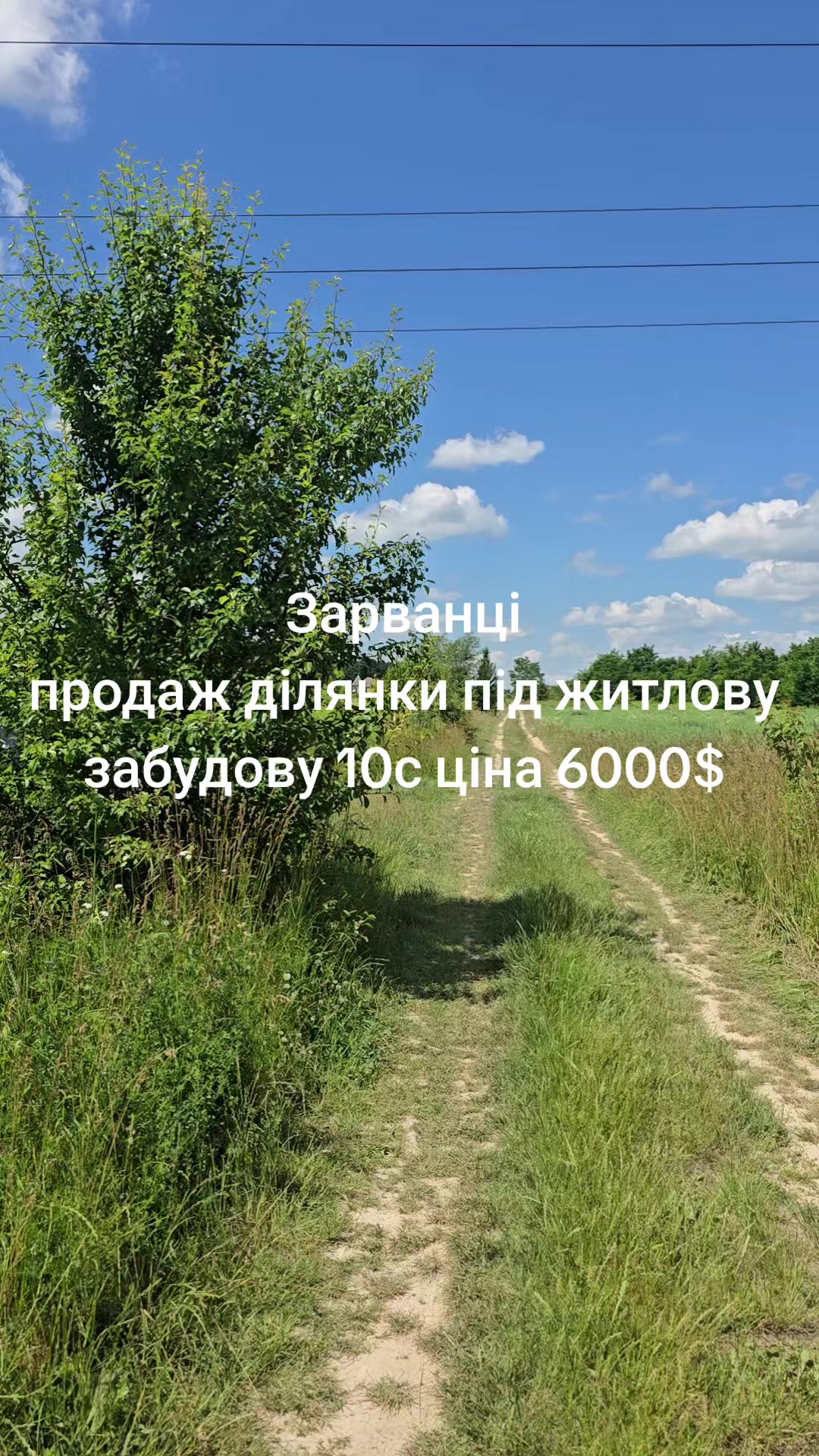 @Маргарита