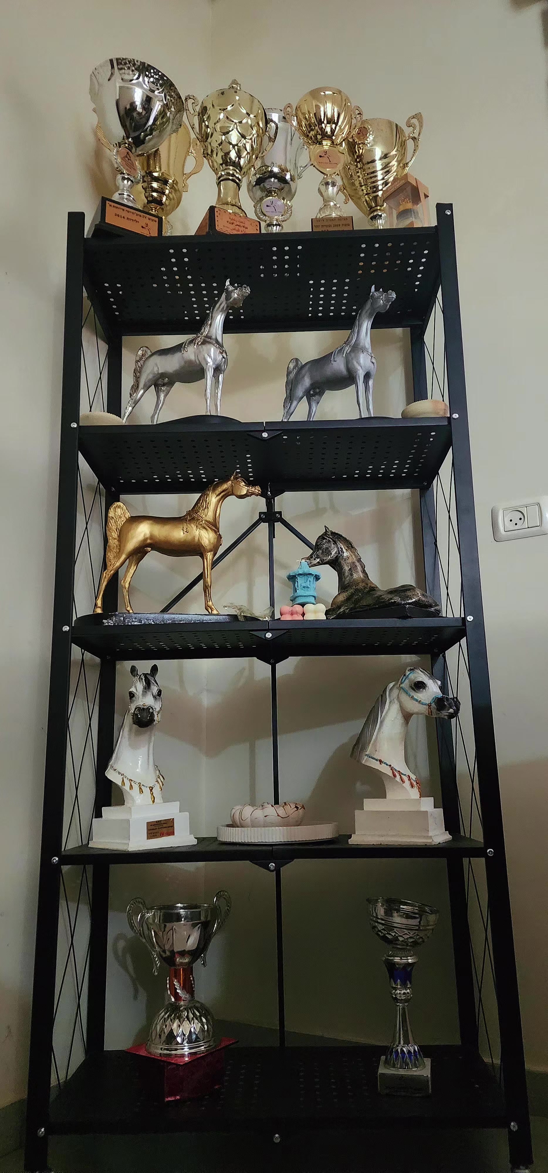 @🐎عوده لتوزيع مستلزمات الخيو🐎