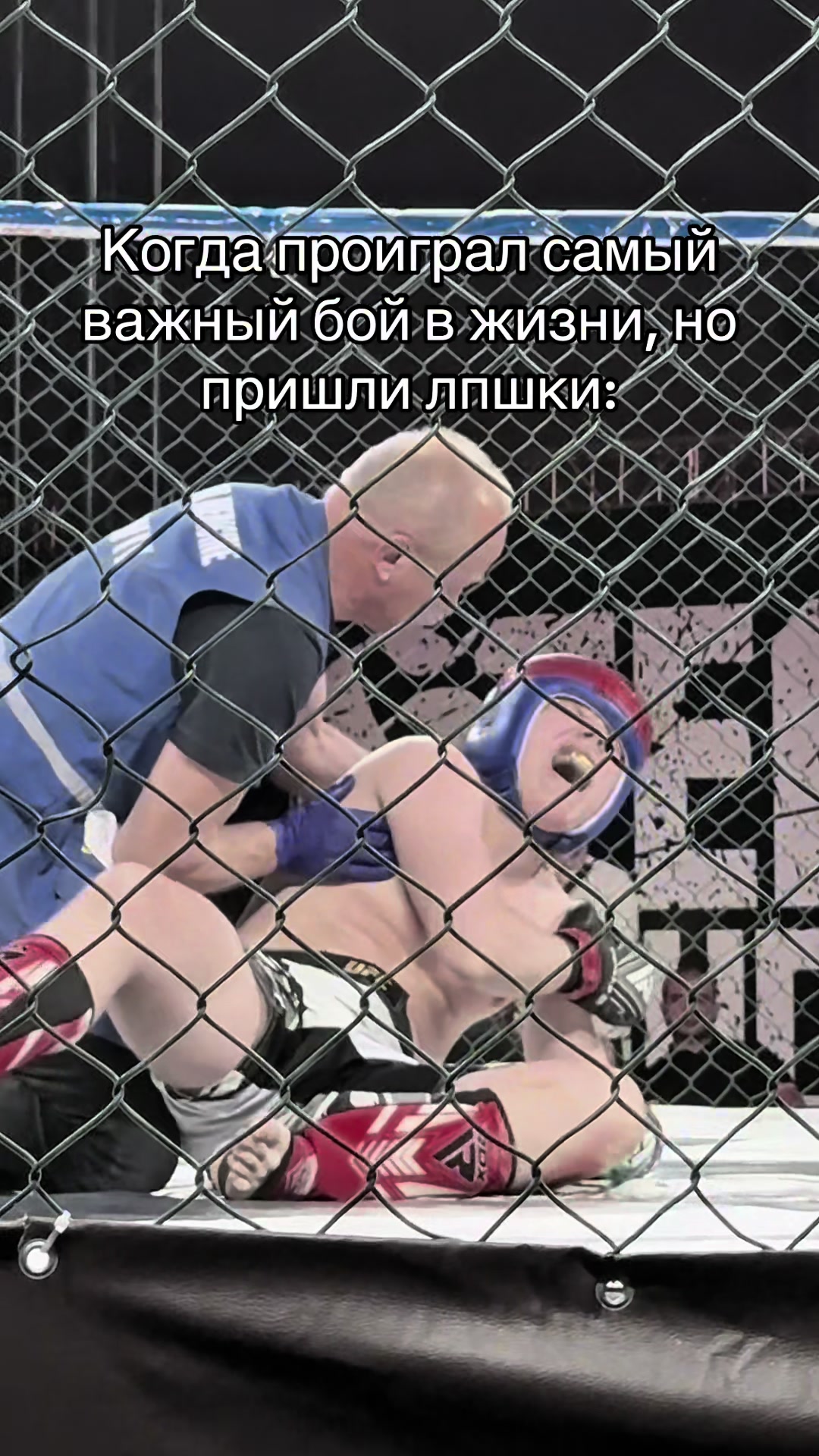 @Добрый Ммашник 😊