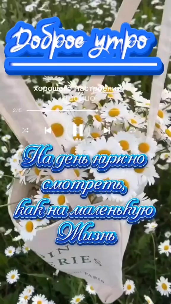 @malifisentai