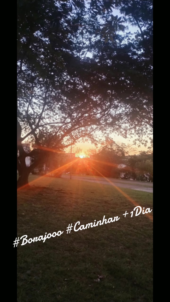@Jacqueline Cavalcanti