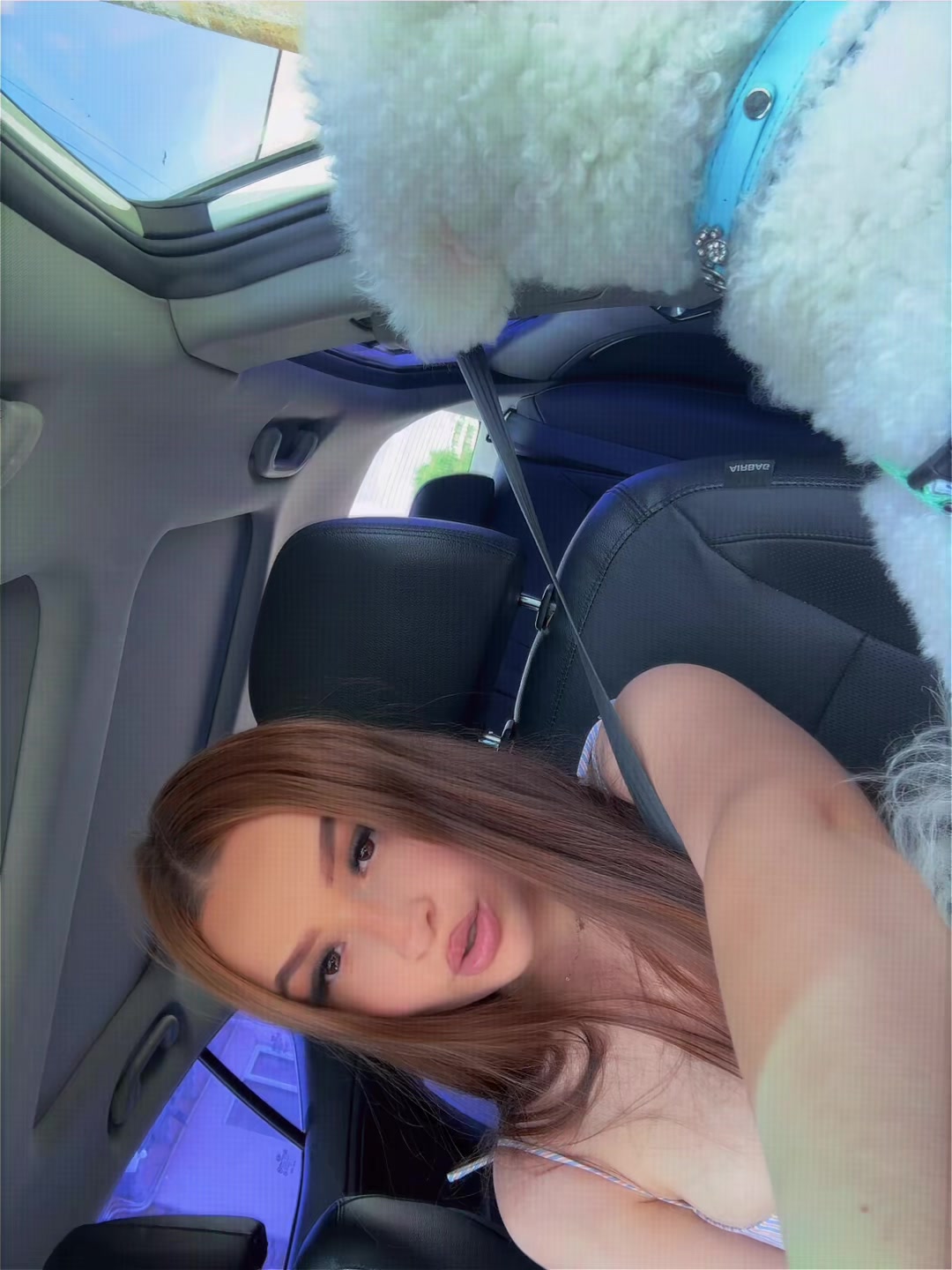 @𝓐𝓷𝓬a 🦋🍭🦩