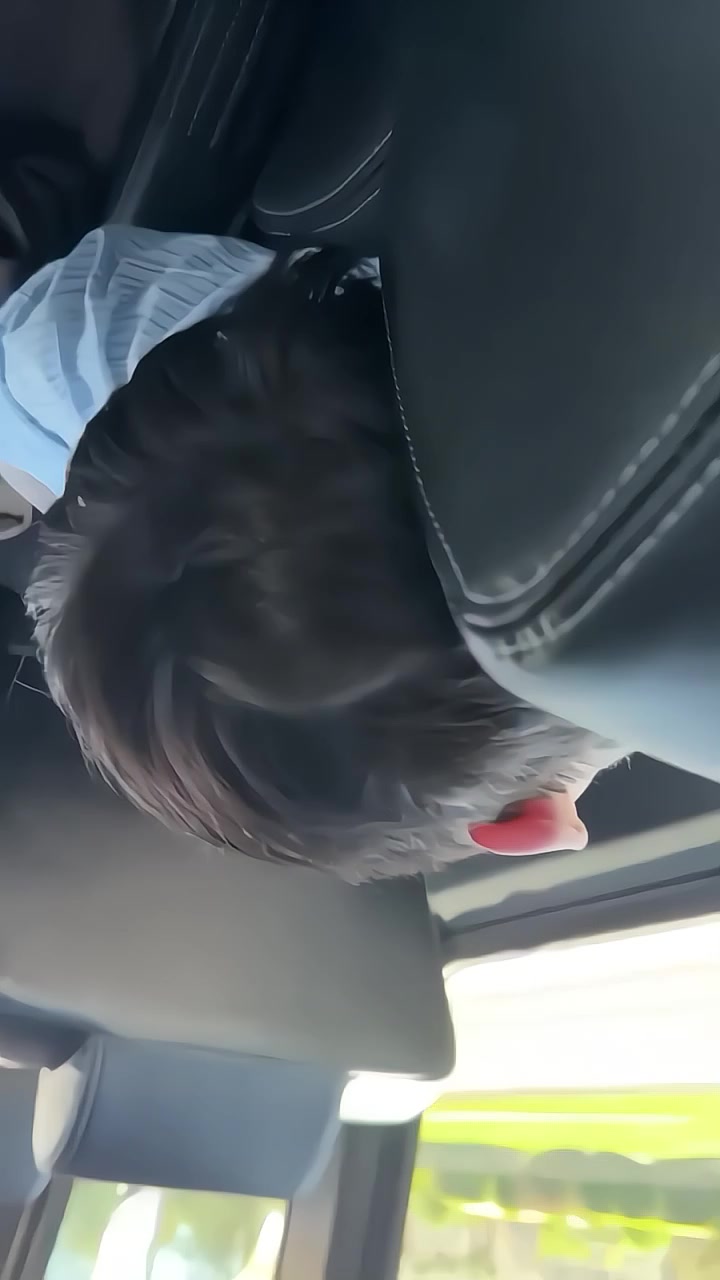 @Ꮪ𝗨𝝢𝗢𝗢🦊