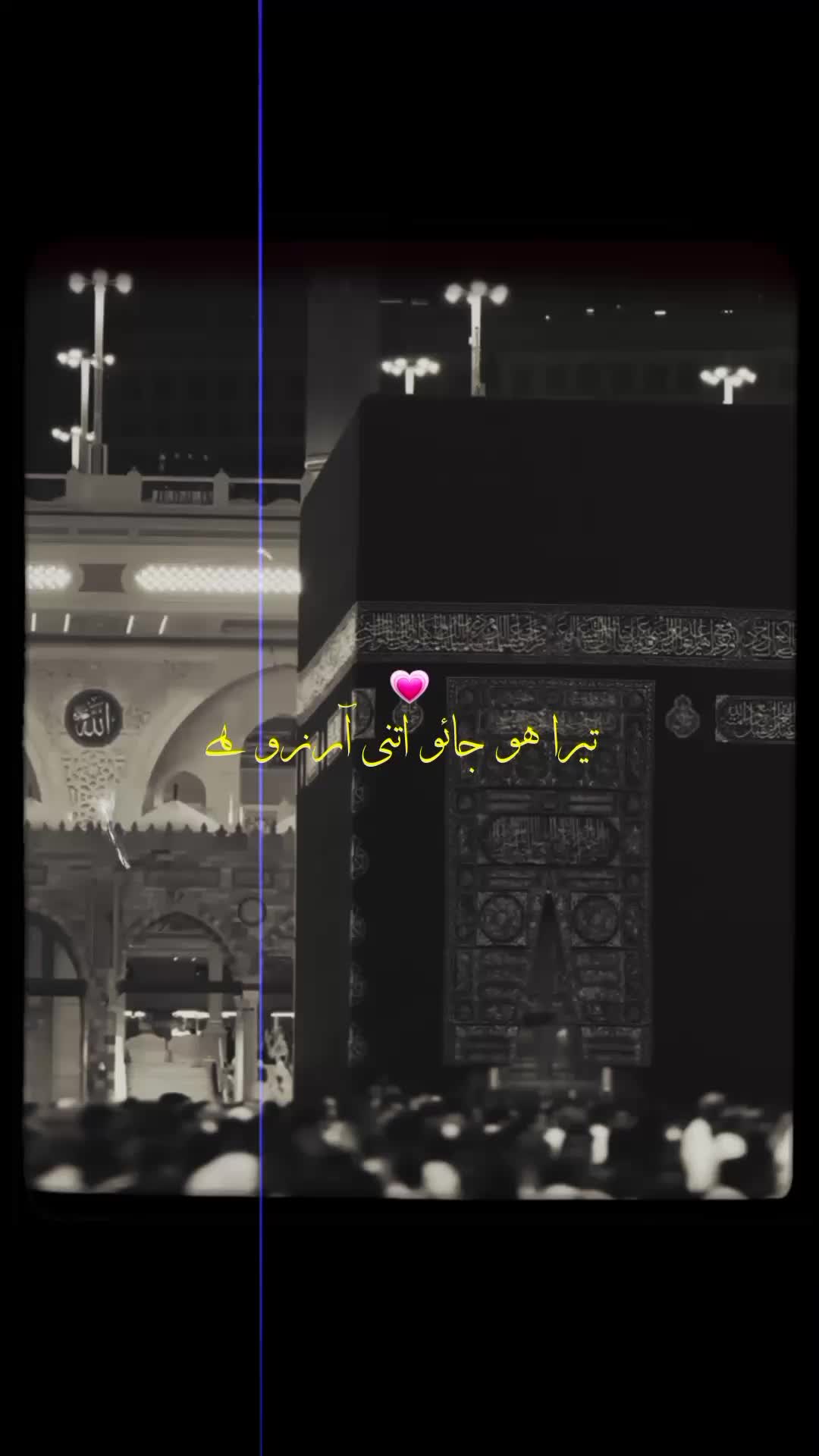 @Aestix x Shazaib