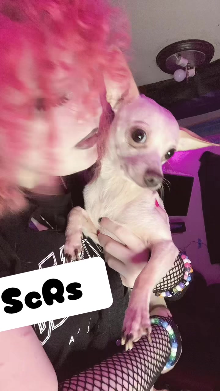 @Ashtonn ☆ 🏳️&zwj;⚧️🐾🍥