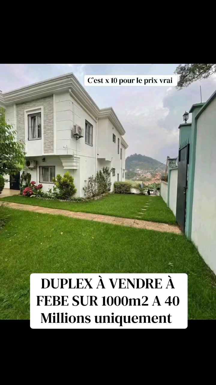 @DINO~IMMO~237🇨🇲🇨🇲