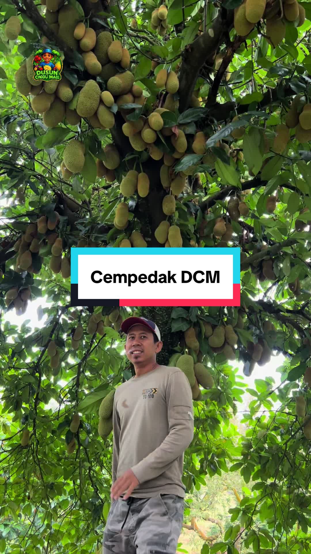 @Dusun Cikgu Mail