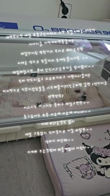 @아콩맘♡