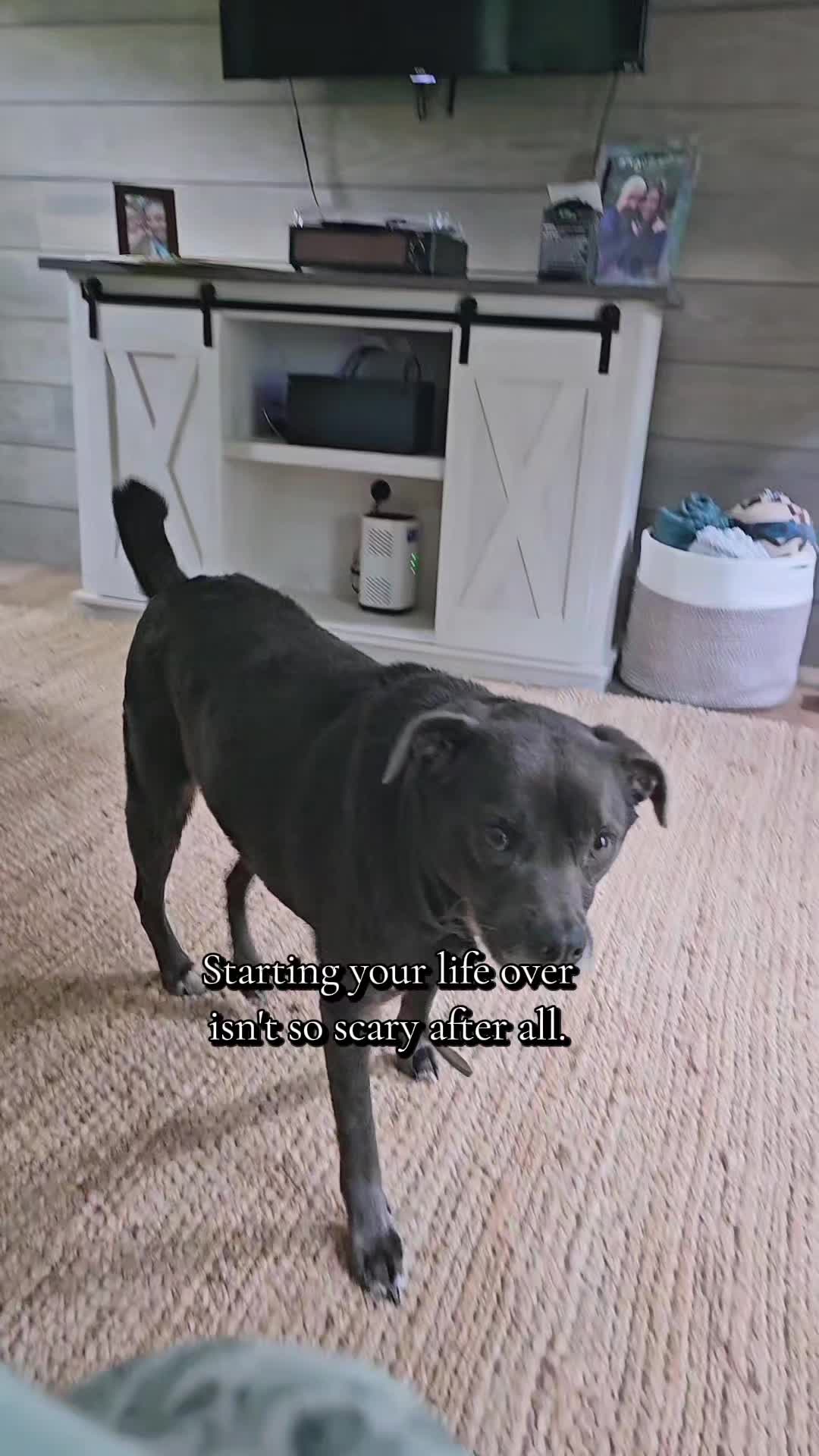 @SimplyCady