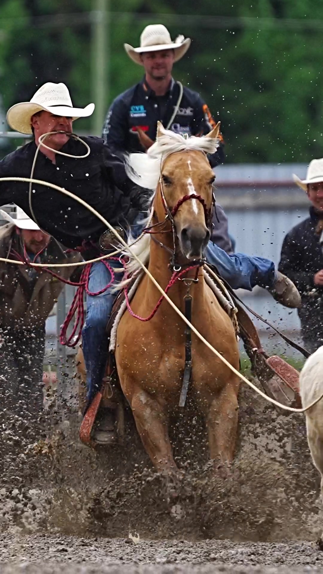 @Hanginghorses