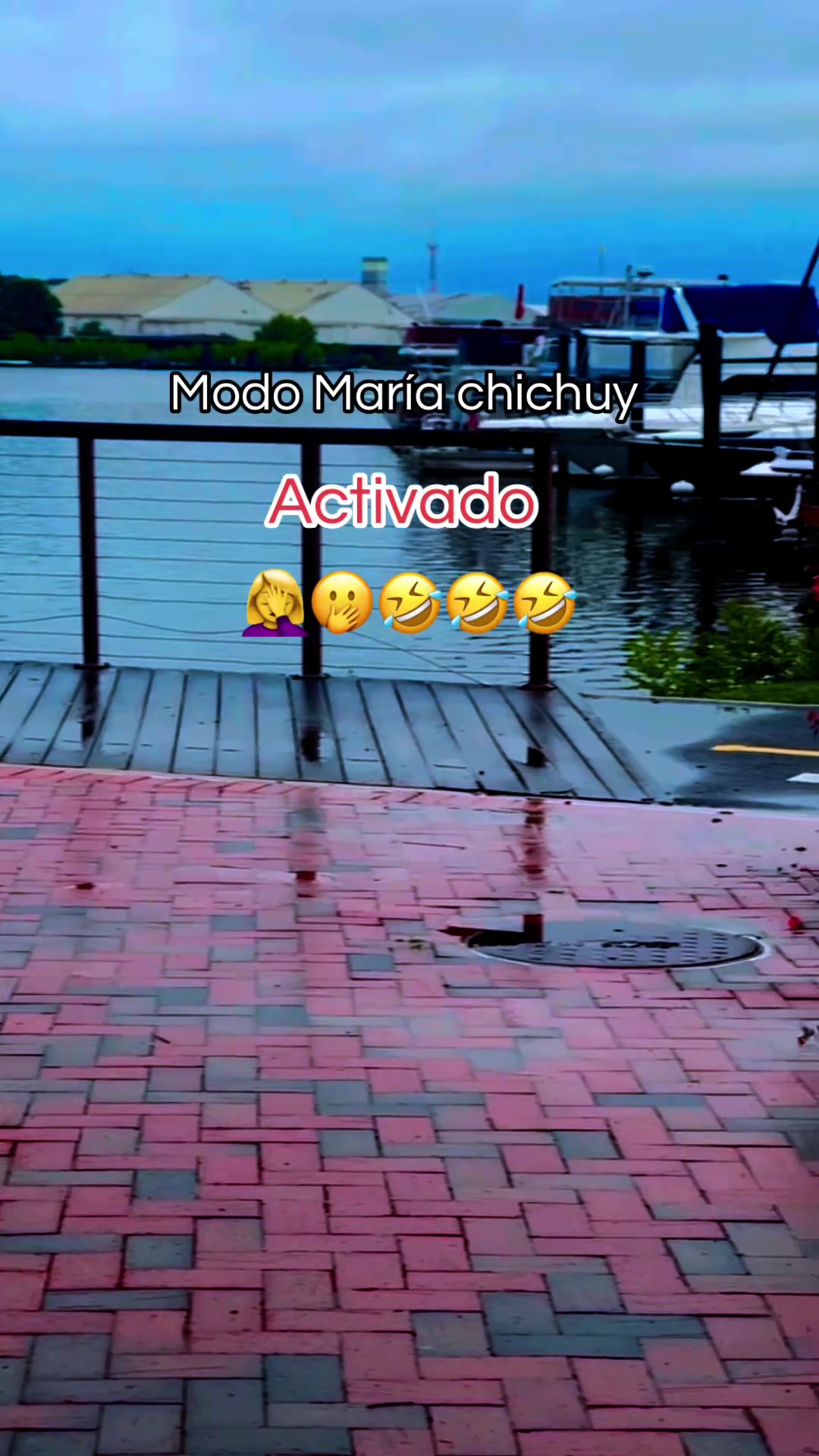@꓄꒐꓄ꋬ ꃳꄲꆰ꒤꒐ꋊ