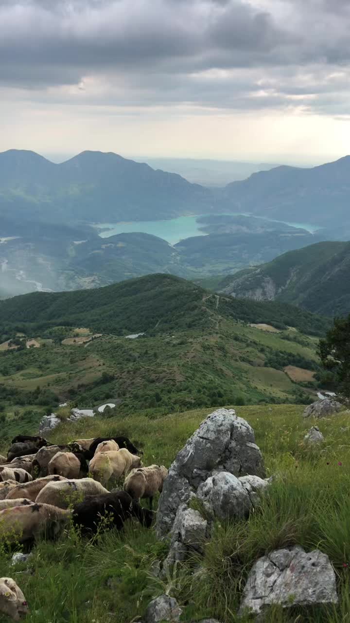@Blektoria_Deda🐑🐑🏔️🏔️