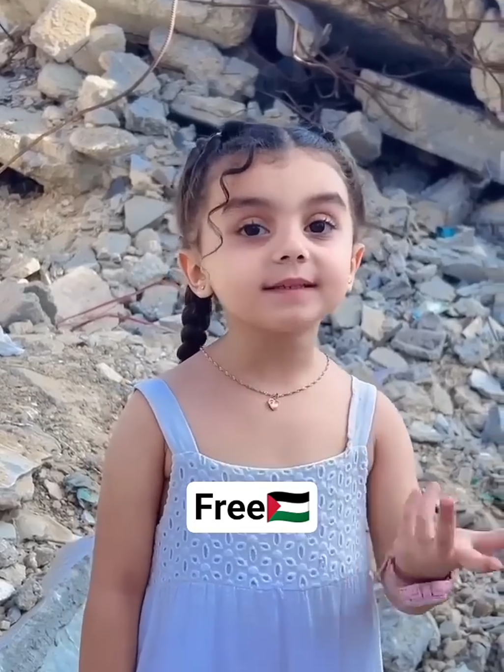 @free Palestinian