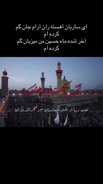 @Omid Jalily