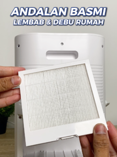 @Simplus
