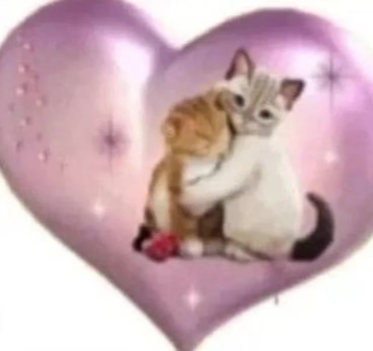 @кощик😛