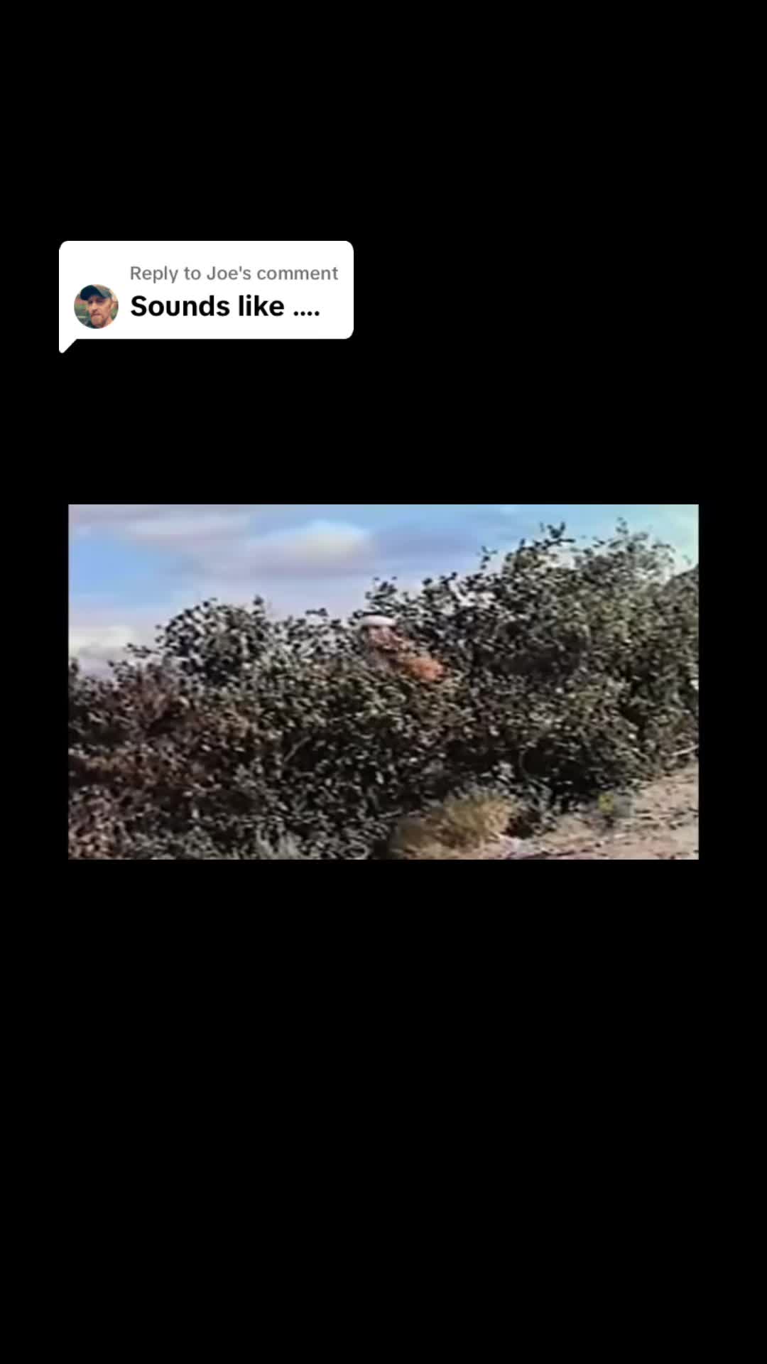@Joe