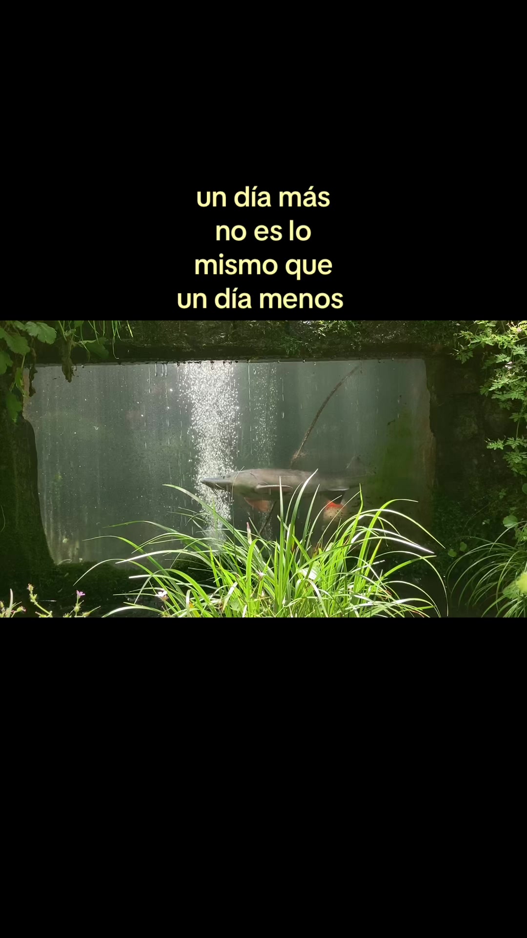 @CaracolArchives