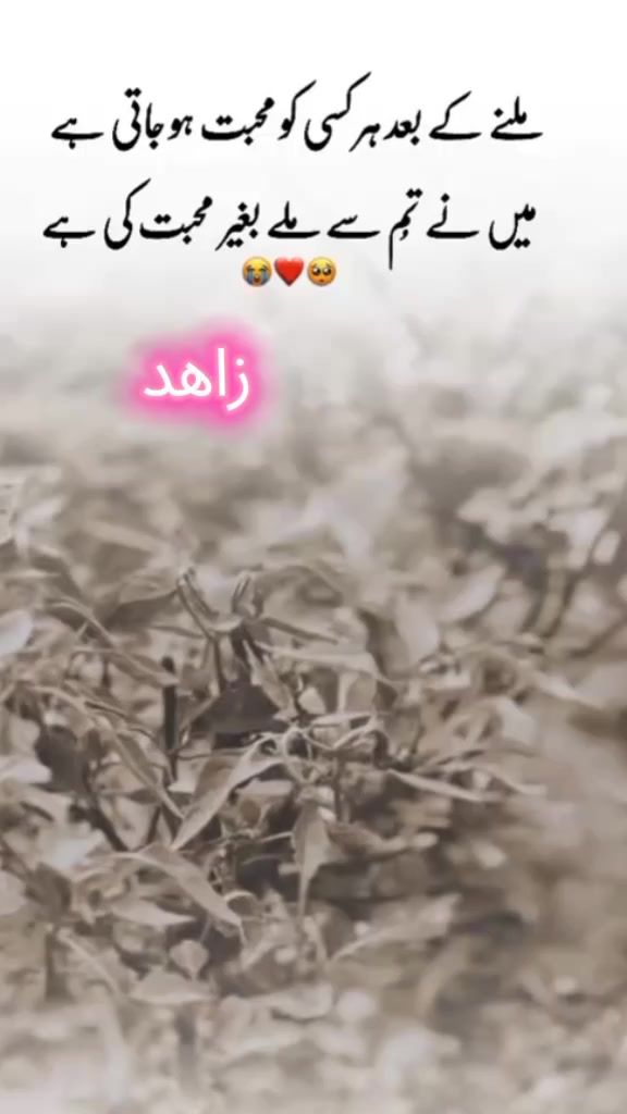 @꧁ᎷᏬᎻᎯᎷᎷᎯᎠ ᏃᎯᎻᎨᎠ꧂
