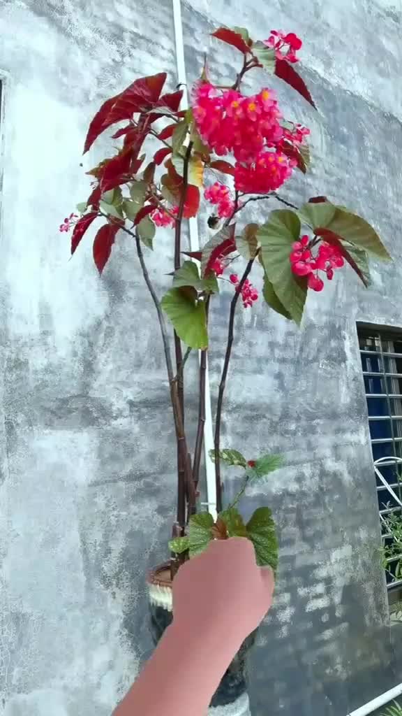 @Mukhtiar chaukidar