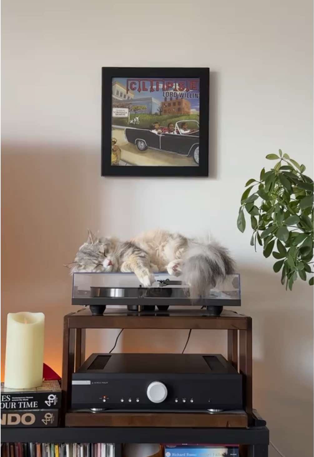 @Leon The Vinyl Cat