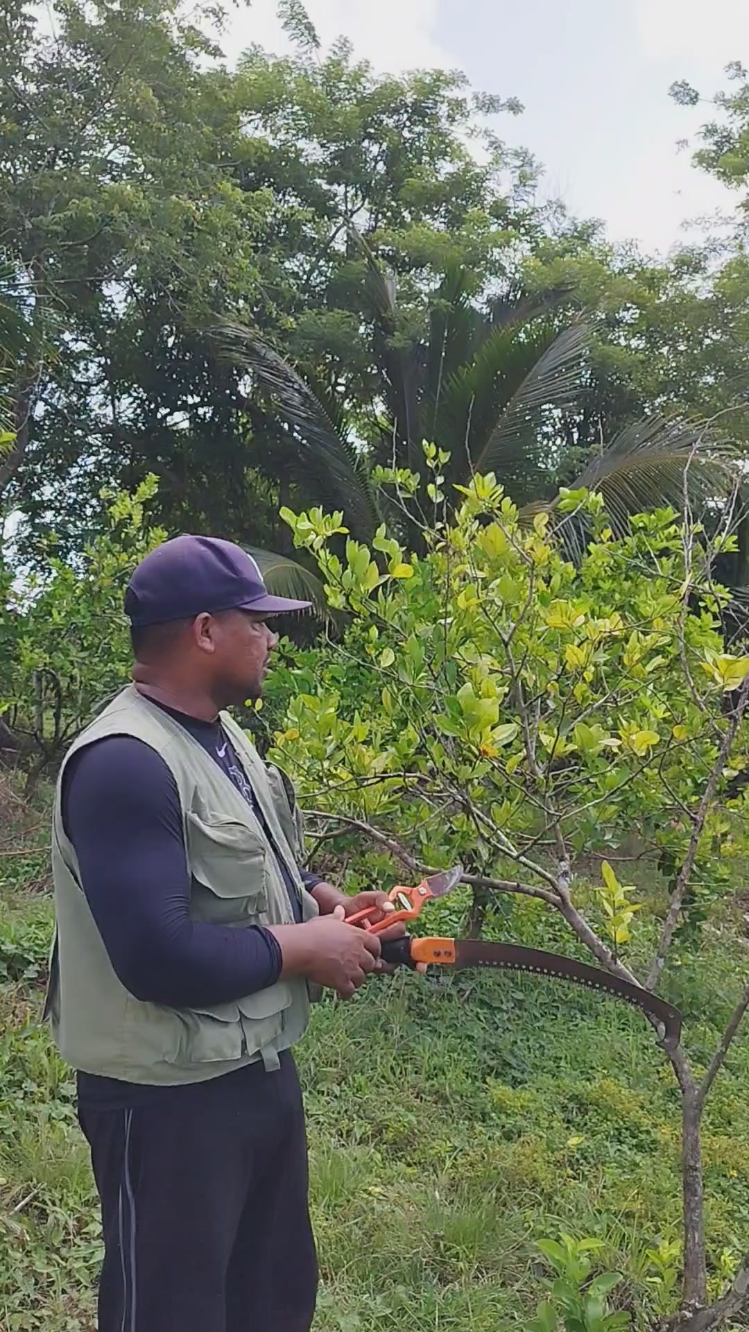 @Cítricos Ramirez 🍋