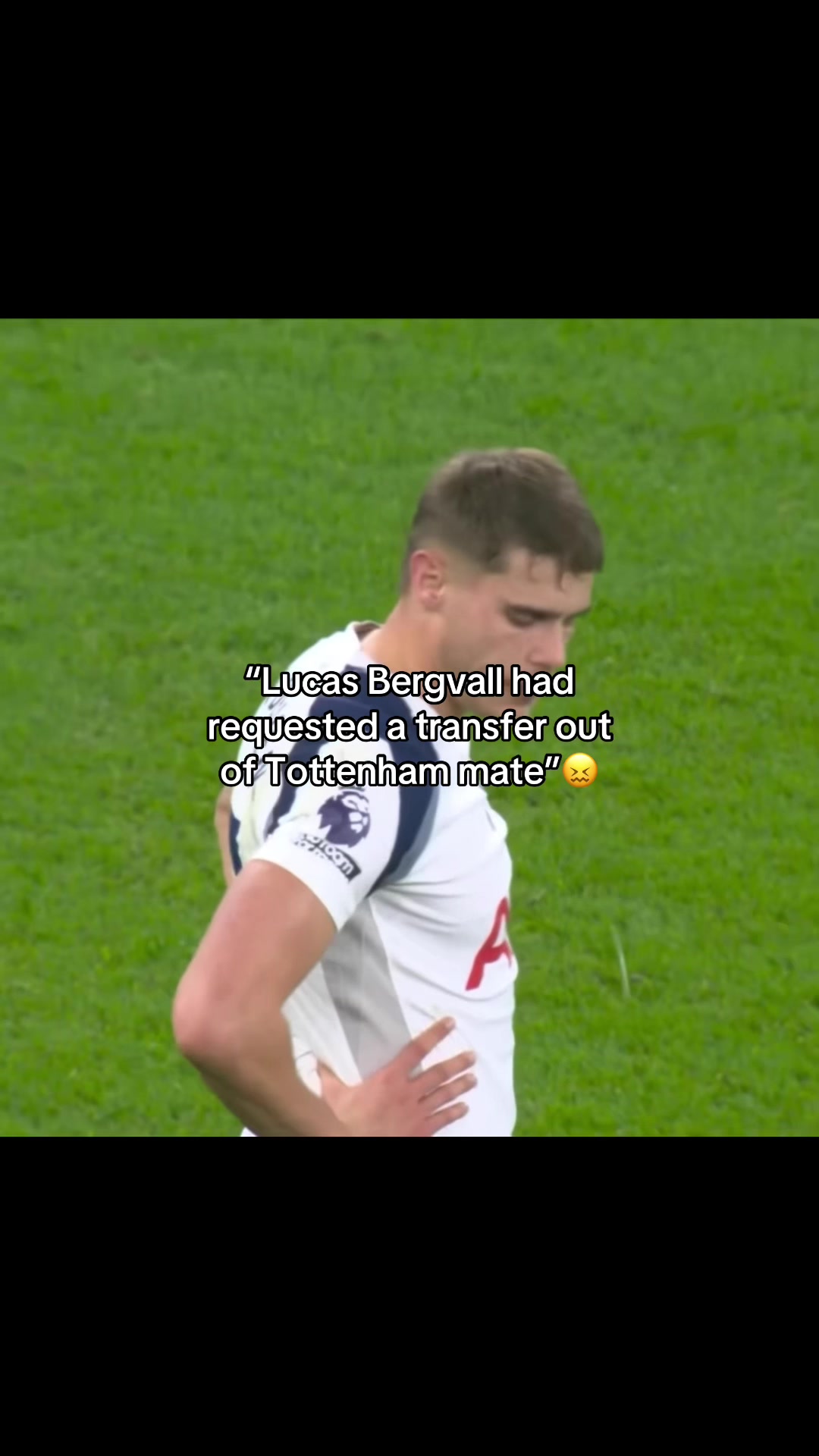 @thfc.tel11