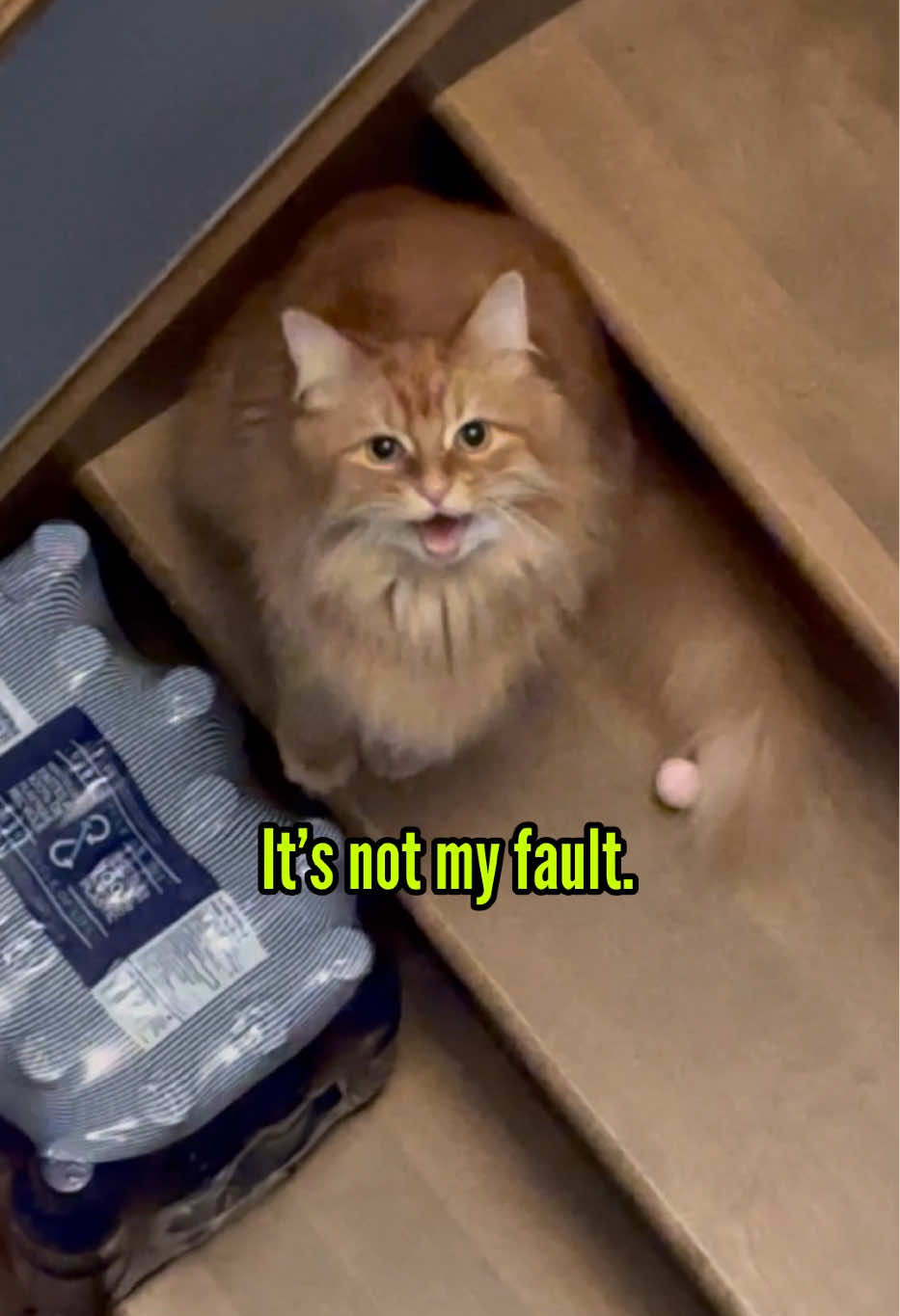 @The Oreo Cat