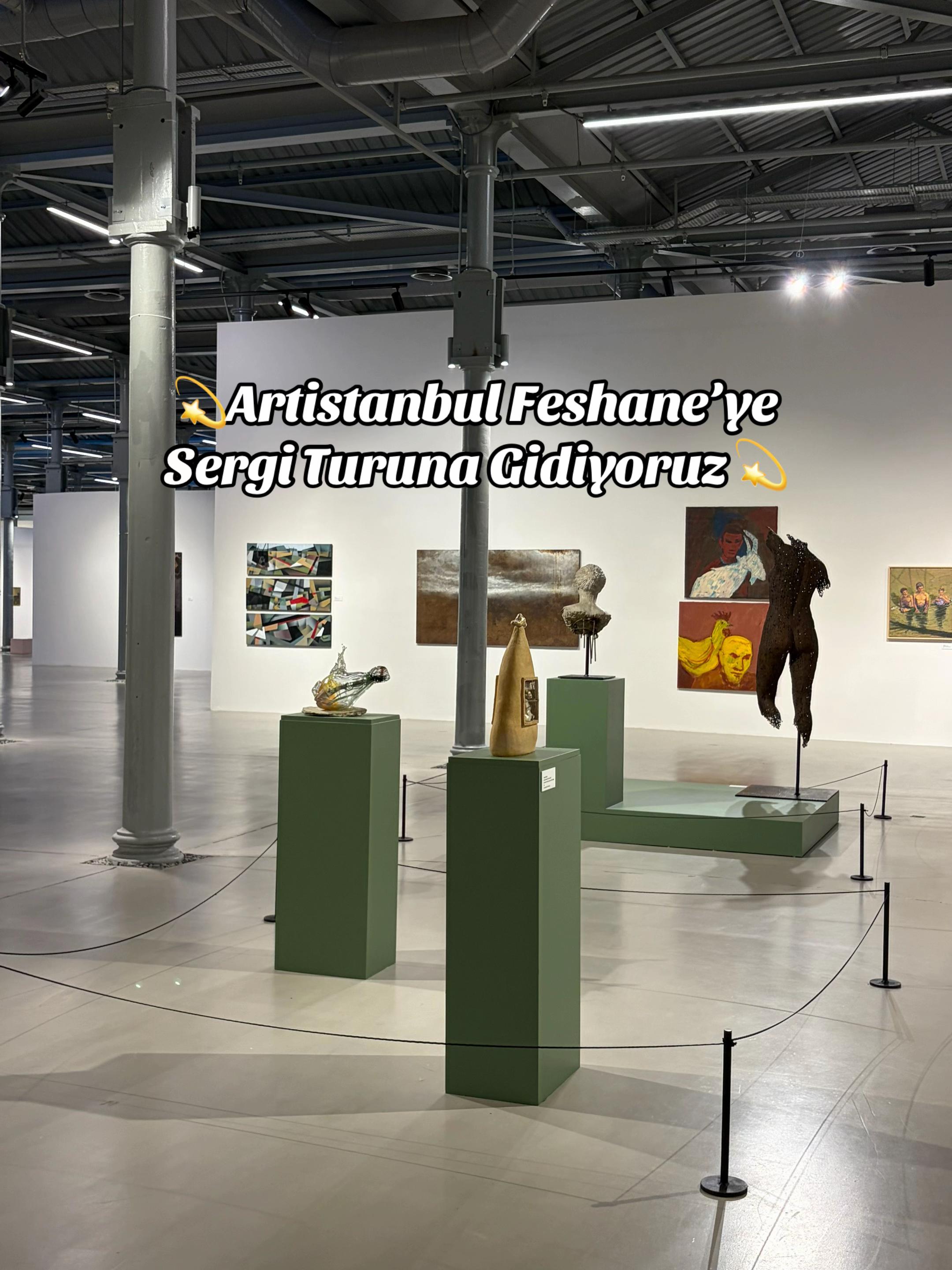 @İstanbul Kedisi