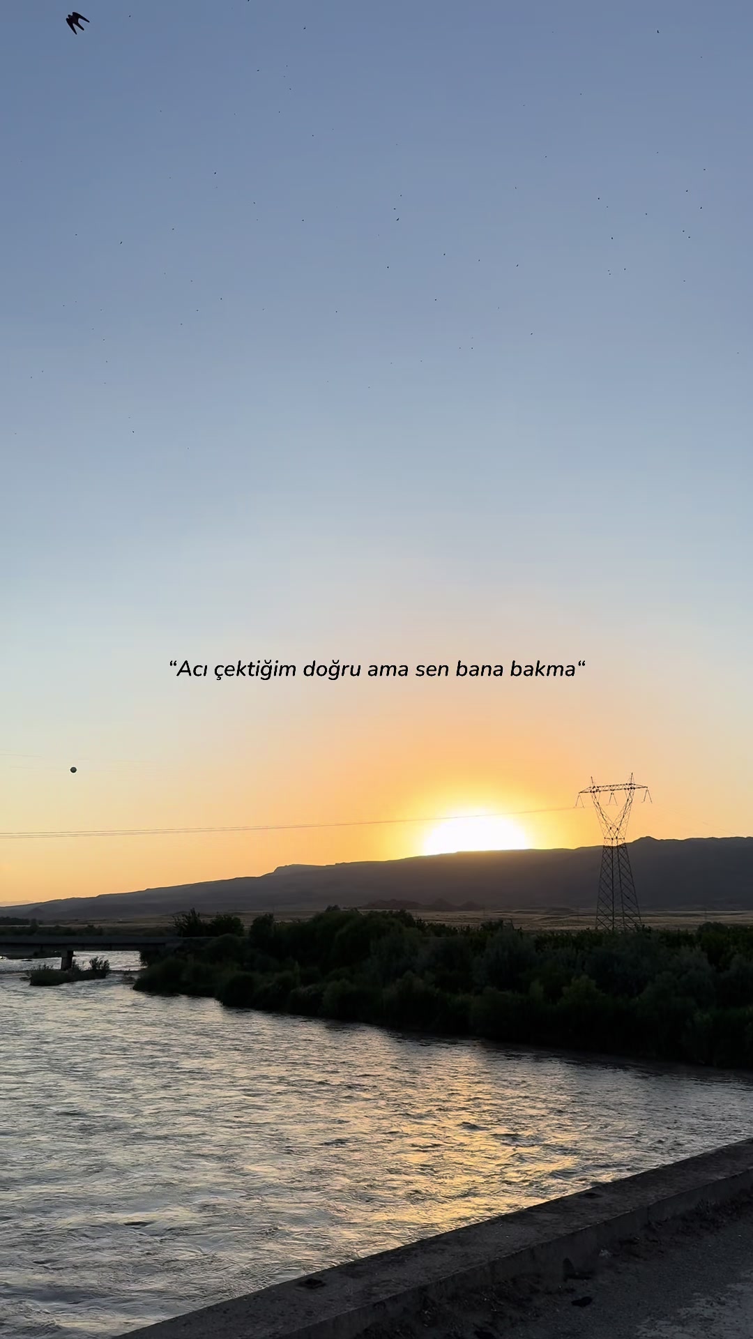 @𝐴𝑦𝑠̧𝑒 𝑁𝑢𝑟