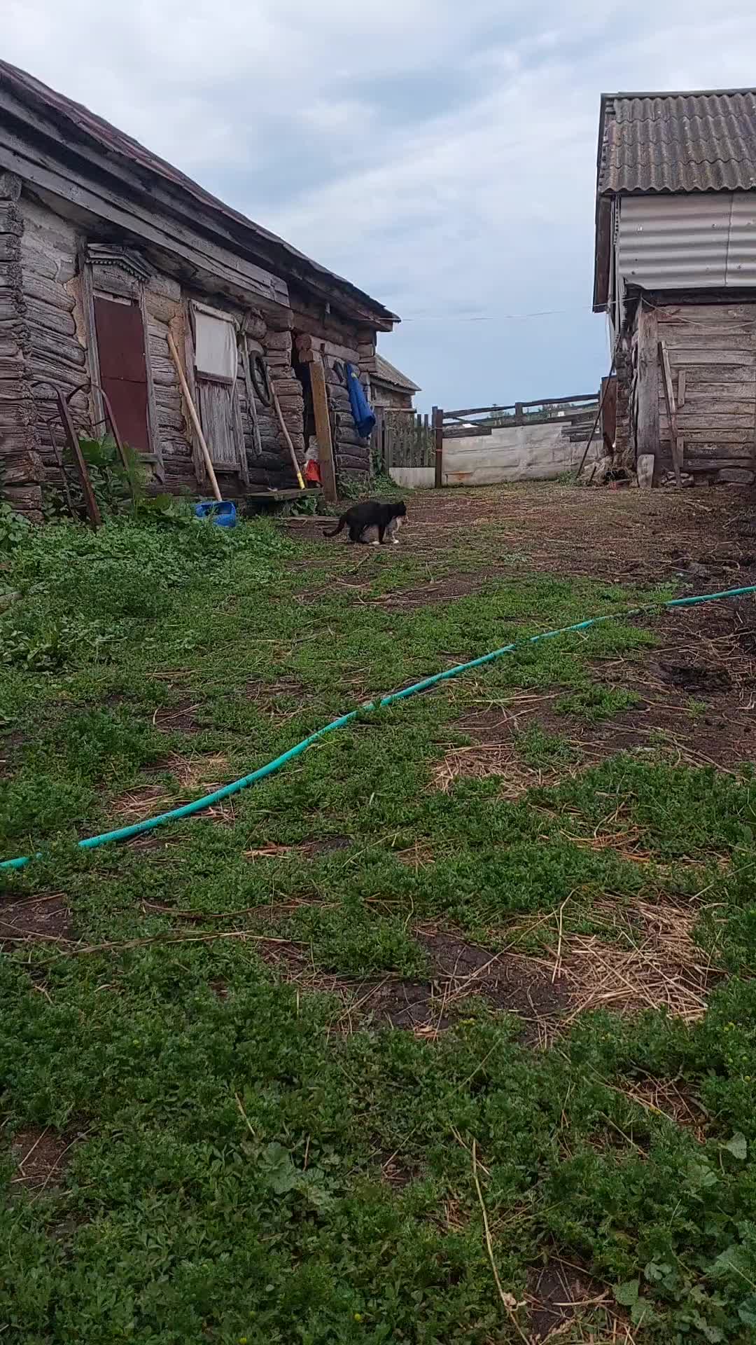 @Дима Земчихин