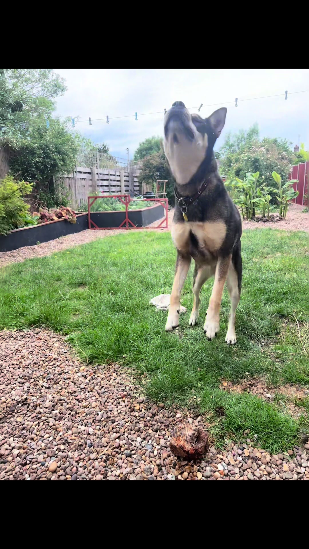 @tswoofwoof.co.uk