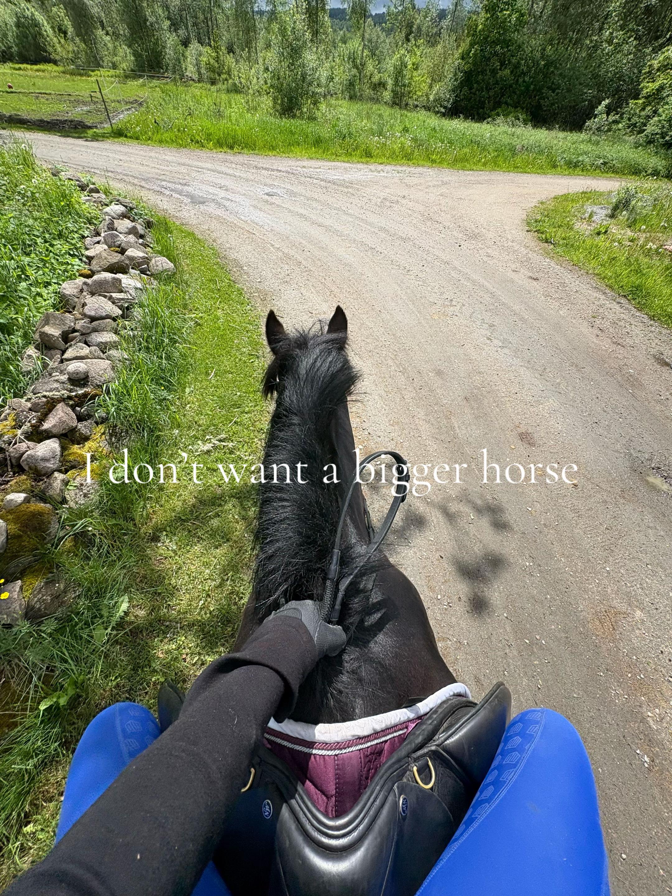 @🇸🇪🦄𝓔𝓵𝓲𝓷 𝓔𝓭𝓺𝓿𝓲𝓼𝓽