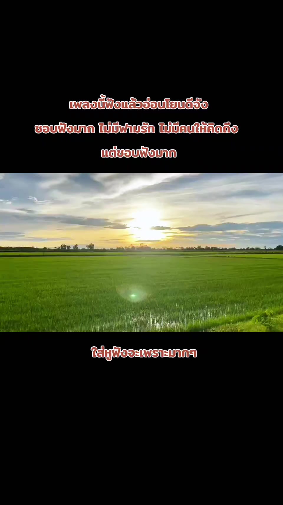 @นิ ณิชารินทร์