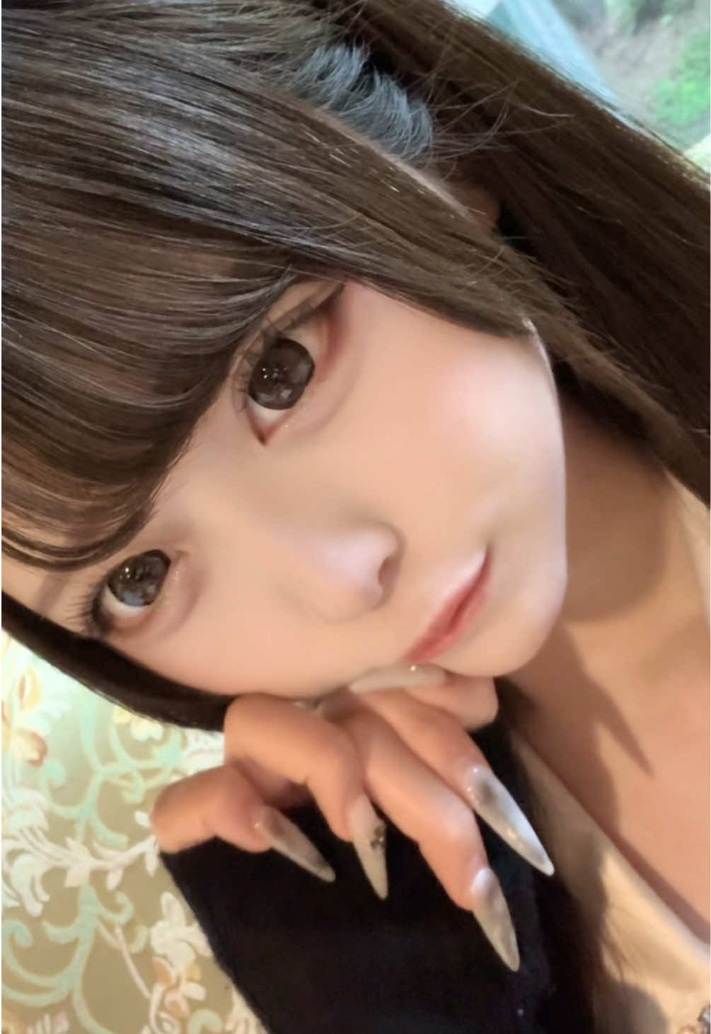 @ちわわ