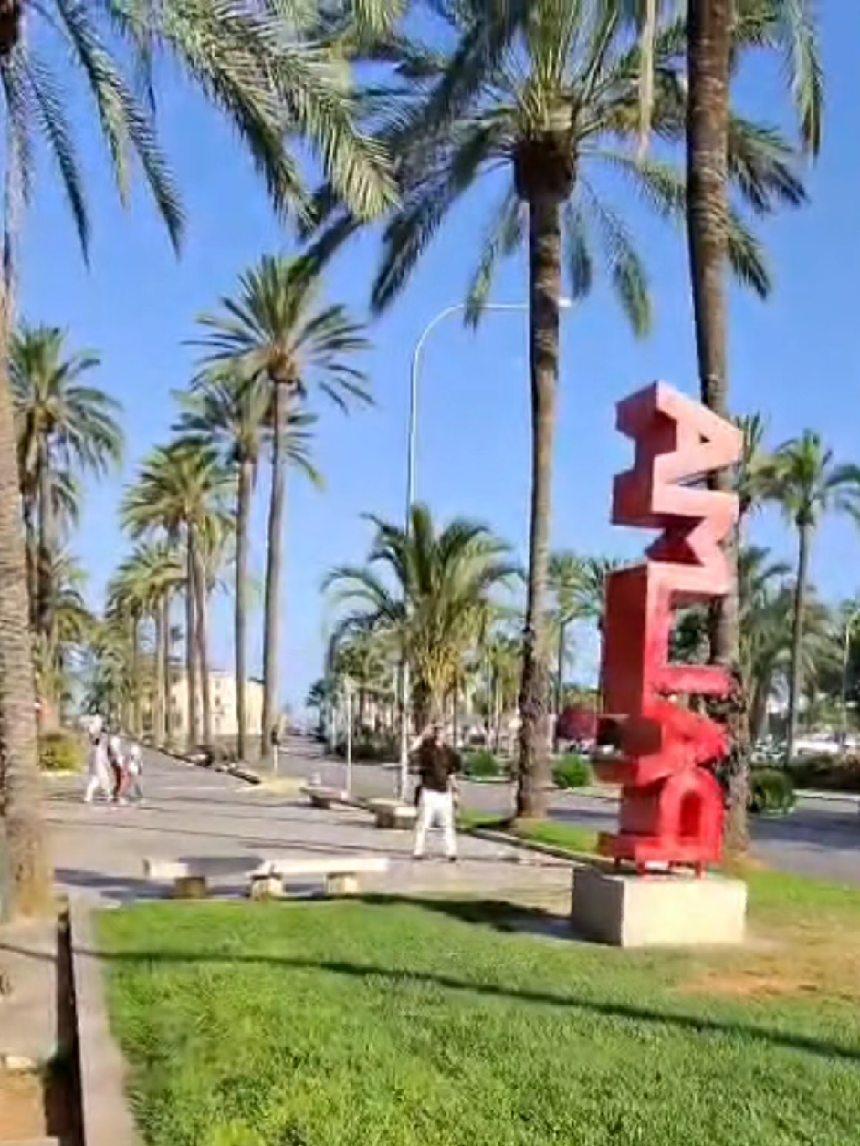 @Mallorca Insider mallorcard.es