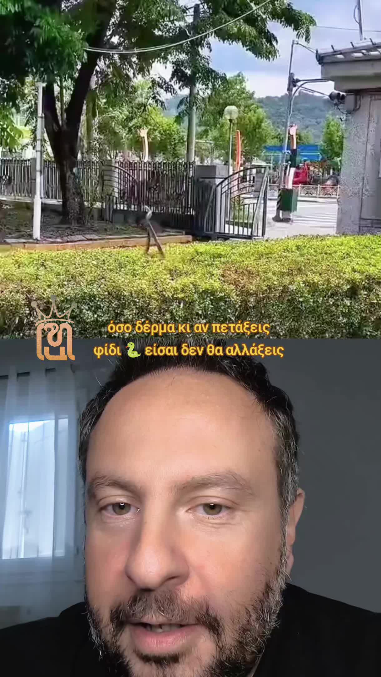 @hadjieleftheriadis