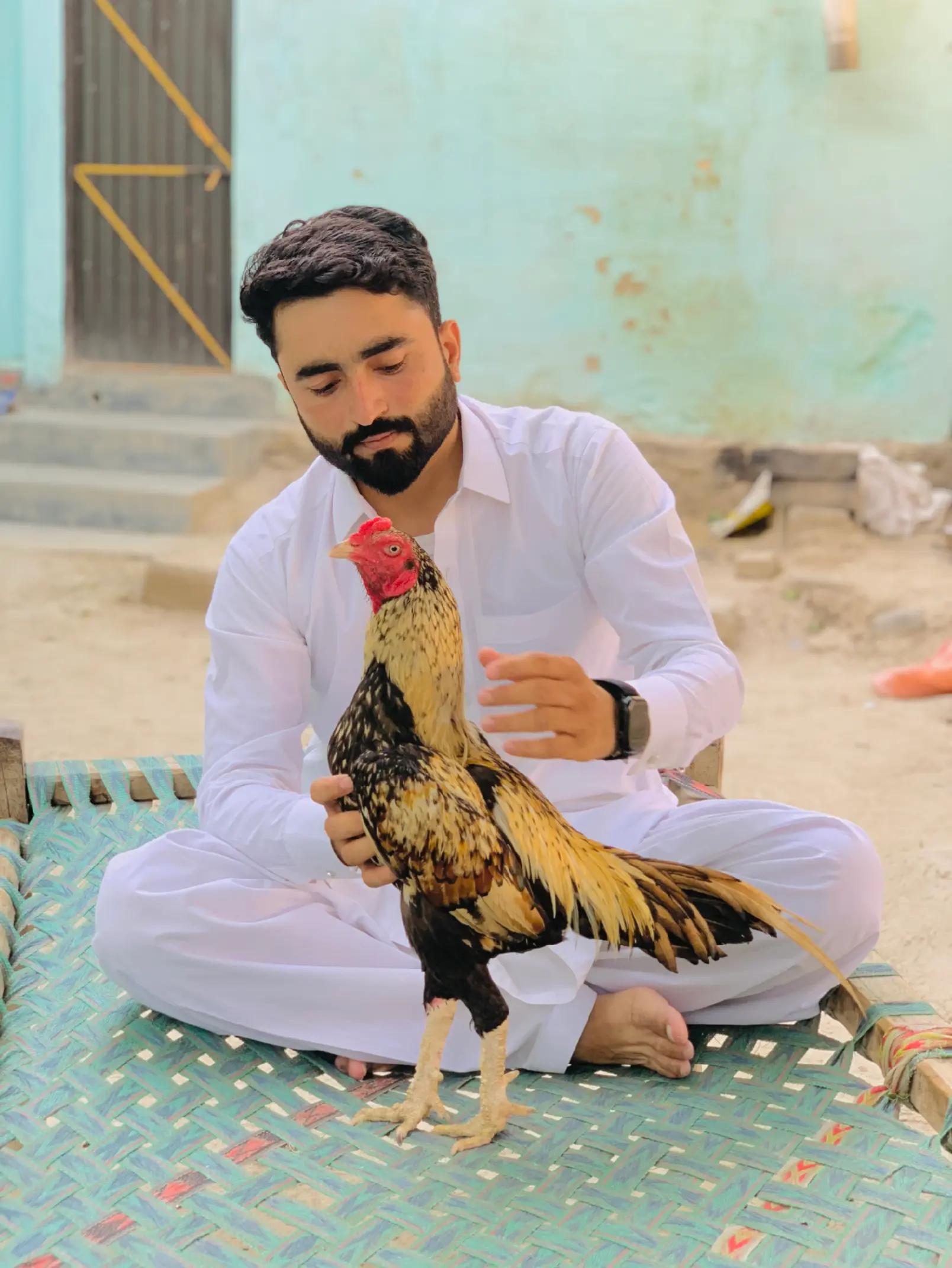 @🌿Syed IftiKHaR SHaH🌿