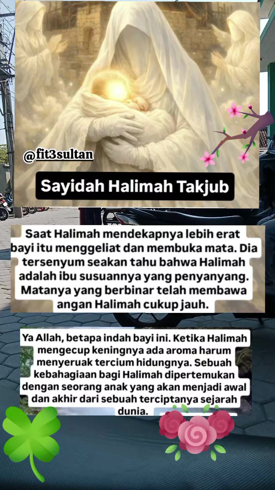 @fit3sultan