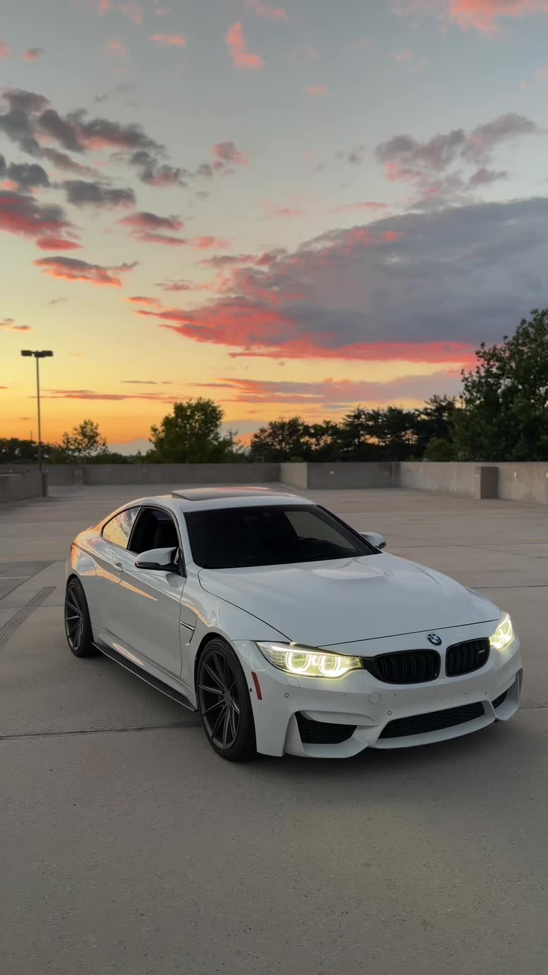 @alpinef8x