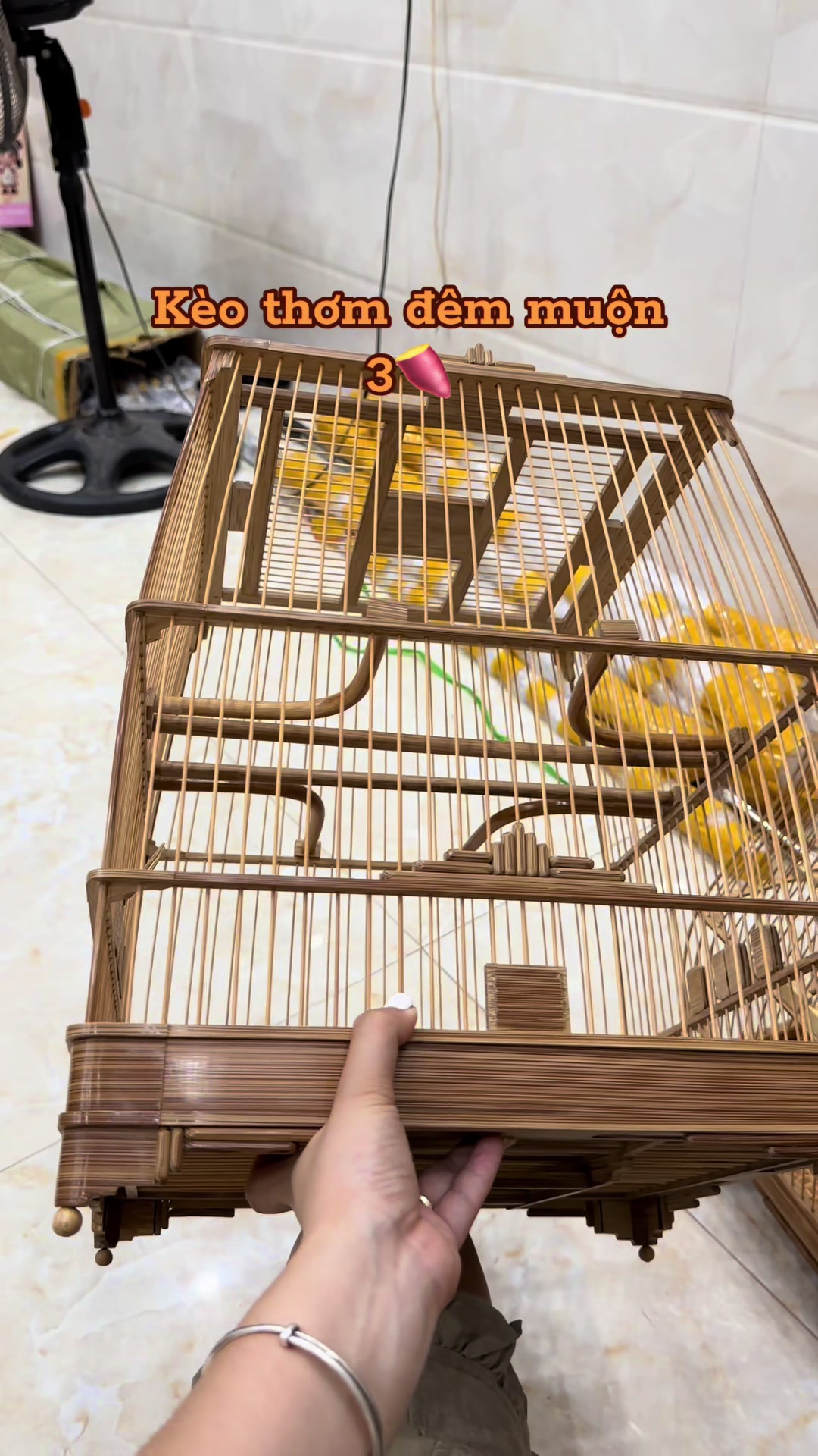 @SHOP LỒNG CHIM & PHỤ KIỆN