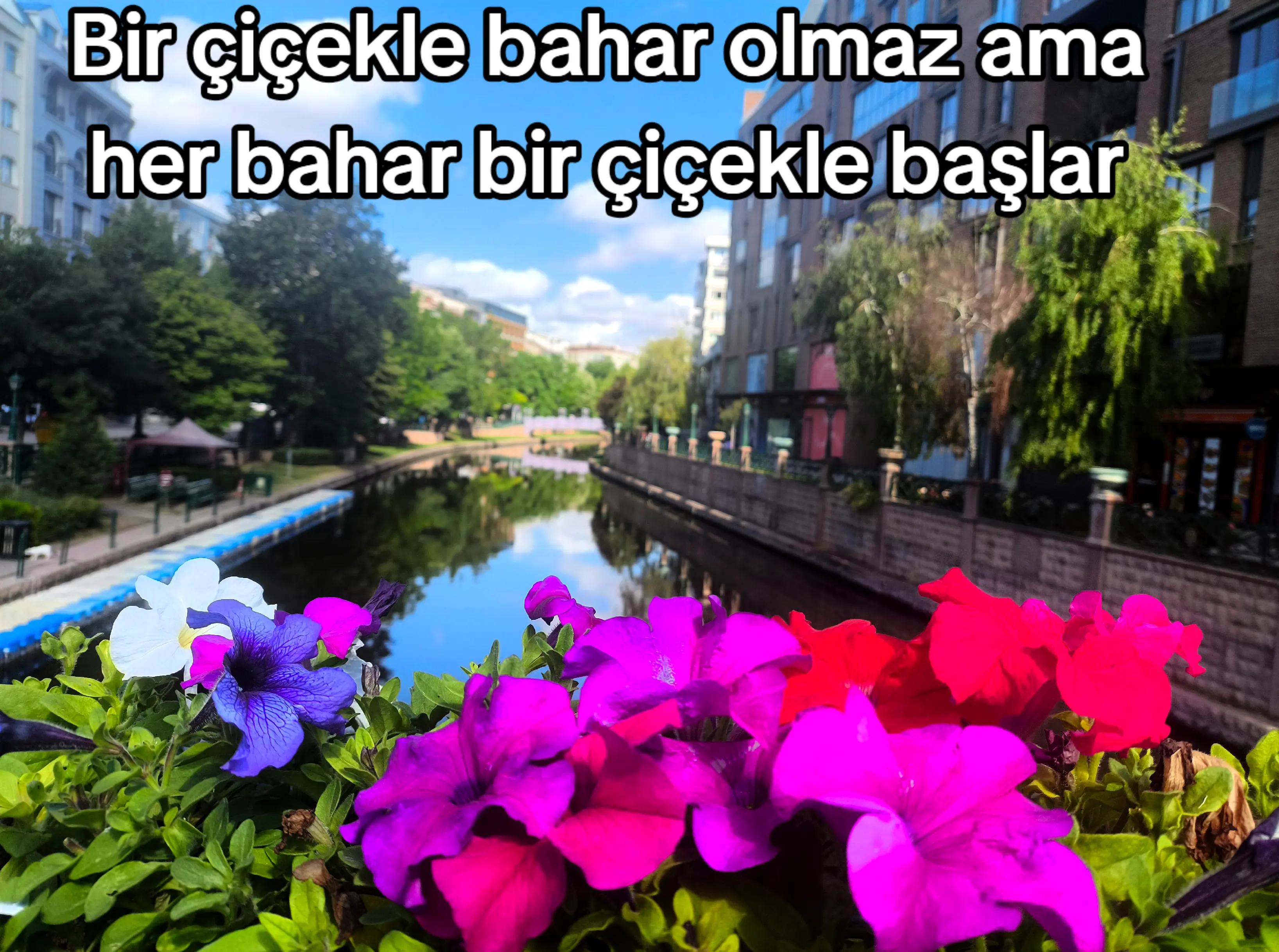 @gezginadam1453