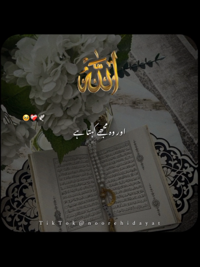 @Noor-e-Hidayat