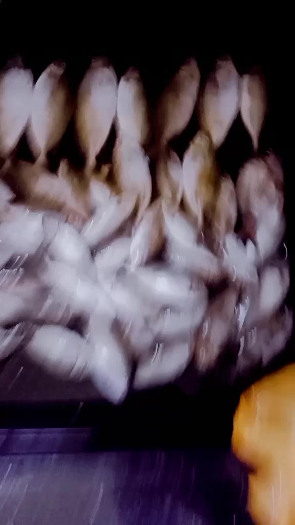 @Anglerzouzou