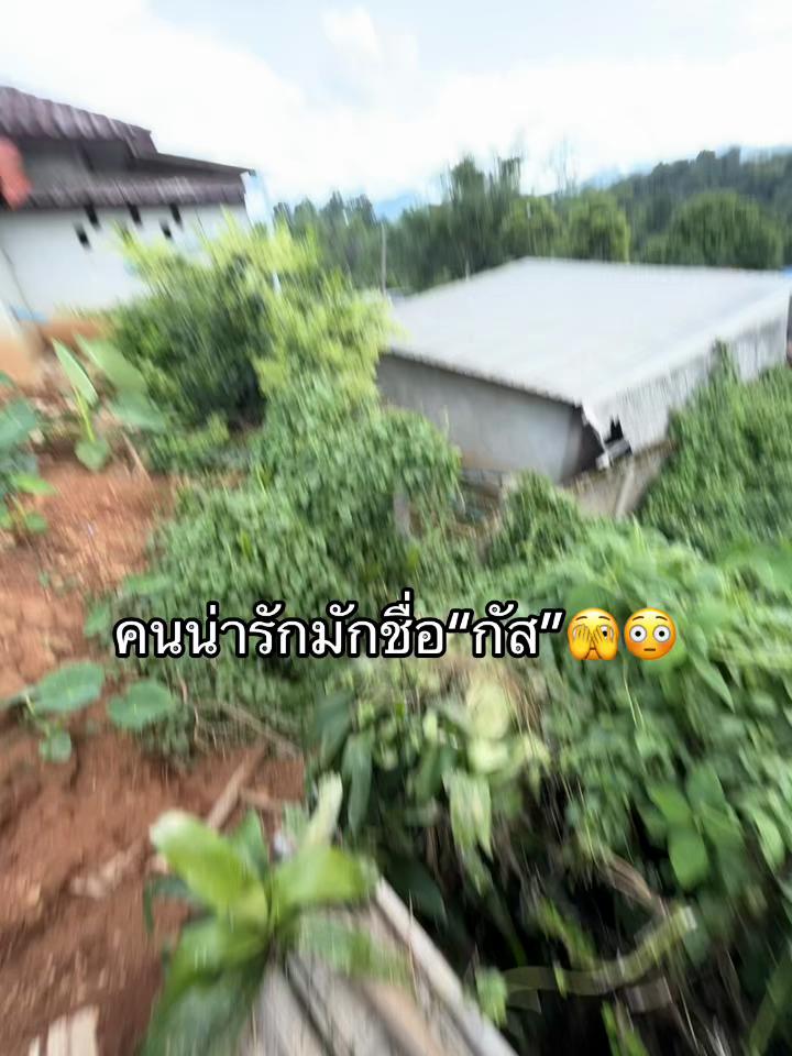 @เธรด💖