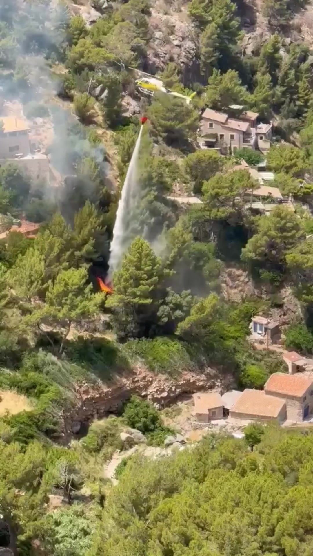 @Bombero Forestal